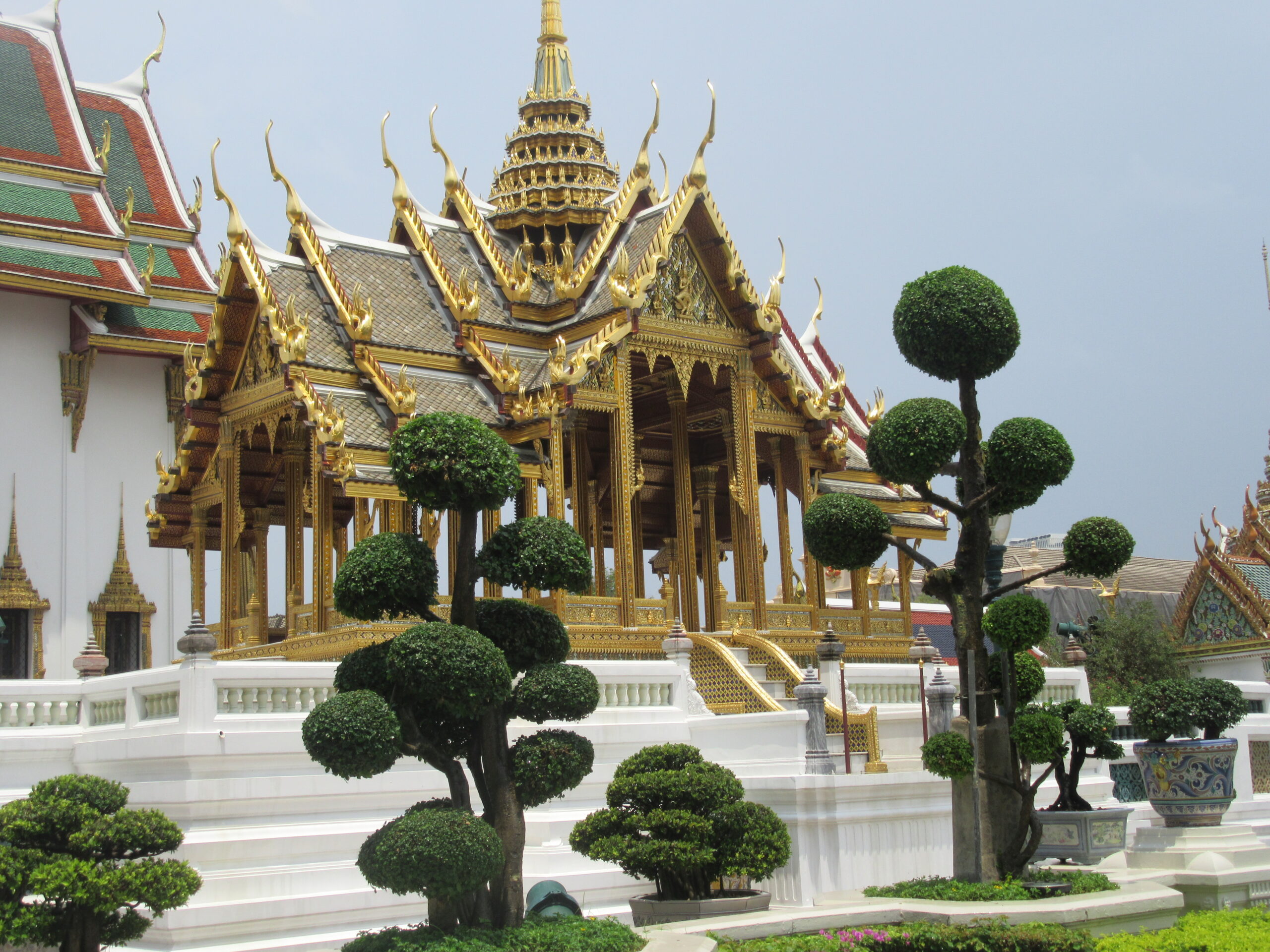 création de site internet en thailande formation pratique SEO pour débutants et pros
